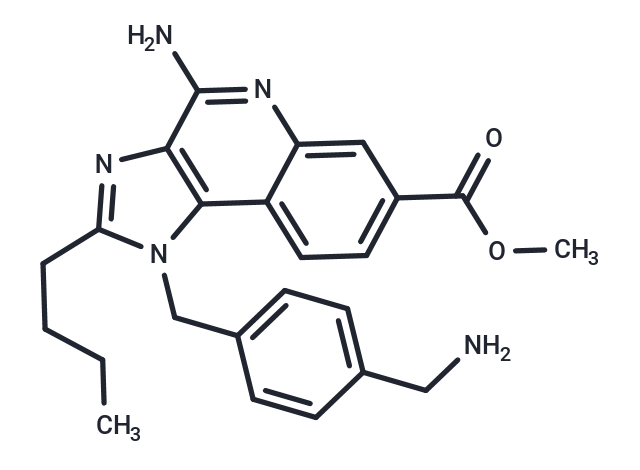 TLR7/8 agonist 6