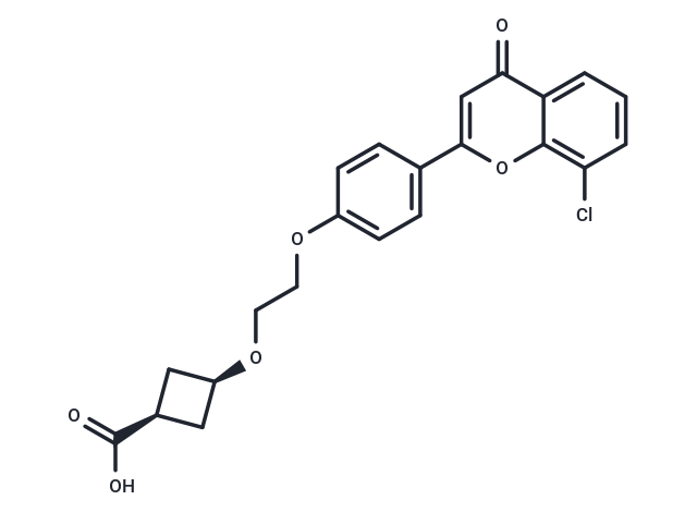 cis-ccc_R08