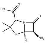 6-Aminopenicillanic acid pictures