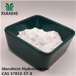 Idarubicin Hydrochloride
