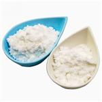 Letrozole (Femara)