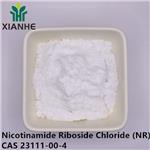 23111-00-4 Nicotinamide Riboside Chloride (NR)
