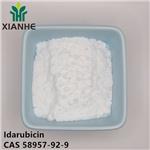 Idarubicin