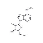 2'-Fluoro-2'-deoxy-N6-methylarabinoadenosine
