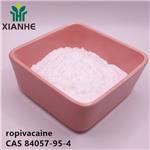 84057-95-4 ropivacaine