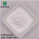 Ceftriaxone
