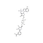 NAADP sodium