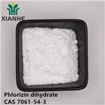 Phlorizin dihydrate