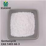 Gentamycin