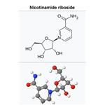 1341-23-7 Nicotinamide riboside