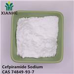Cefpiramide Sodium