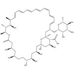 1397-89-3 Amphotericin B