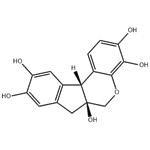Hematoxylin