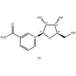 23111-00-4 Nicotinamide riboside chloride