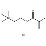 POLY(2-(DIMETHYLAMINO)ETHYL METHACRYLAT&
