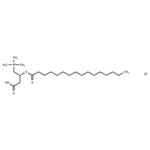 L-Palmitoylcarnitine chloride