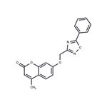 hCAIX/XII-IN-2