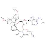 5'-O-DMTr-N6-ethyl-2'-deoxyadenosine 3'-CED phosphoramidite