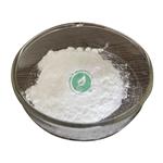 Piracetam