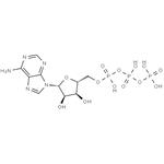 56-65-5 Adenosine triphosphate