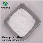 9041-93-4 Bleomycin sulfate