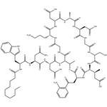 Daptomycin