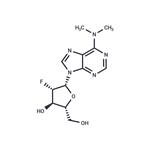 2'-Fluoro-2'-deoxy-N6,N6-dimethylarabinoadenosine