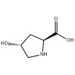 51-35-4 L-Hydroxyproline