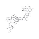 Kijanimicin