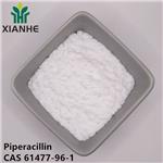 Piperacillin