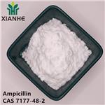 Ampicillin
