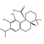 Carnosic acid