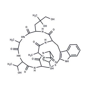 Phalloidin