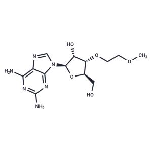 3'-O-(2-Methoxyethyl)-2-aminoadenosine