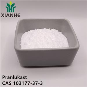 Pranlukast