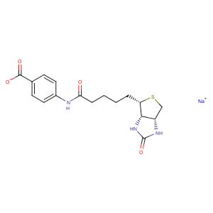 (+)-Biotin 4-Amidobenzoic Acid (sodium salt)