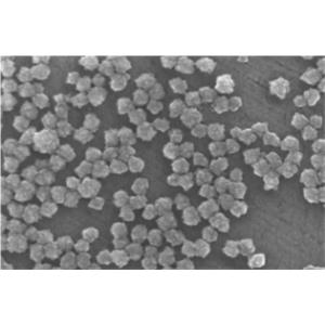 Curpous oxide