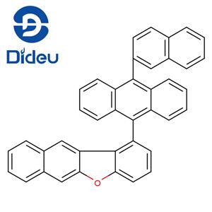 DD-OL-01