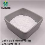 Gallic acid monohydrate