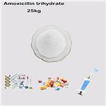 61336-70-7 Amoxicillin Trihydrate