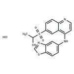 GSK872 HCl(1346546-69-7 free base)