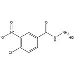 4-chloro-3-nitrobenzohydrazide hydrochloride