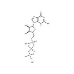 Guanosine-5'-triphosphate disodium salt pictures