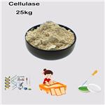 Cellulase