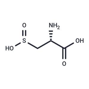 L-Cysteinesulfinic acid