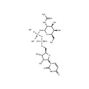 UDP-GalNAc disodium