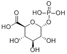 α-D-Glucuronic acid-1-phosphate