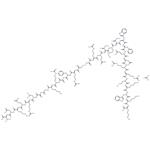 PKC β pseudosubstrate acetate
