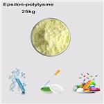 EPSILON-POLYLYSINE