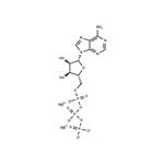 ATP dimagnesium